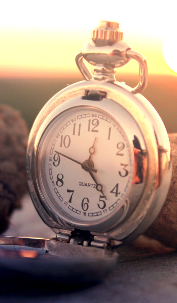 Трюфели и часы