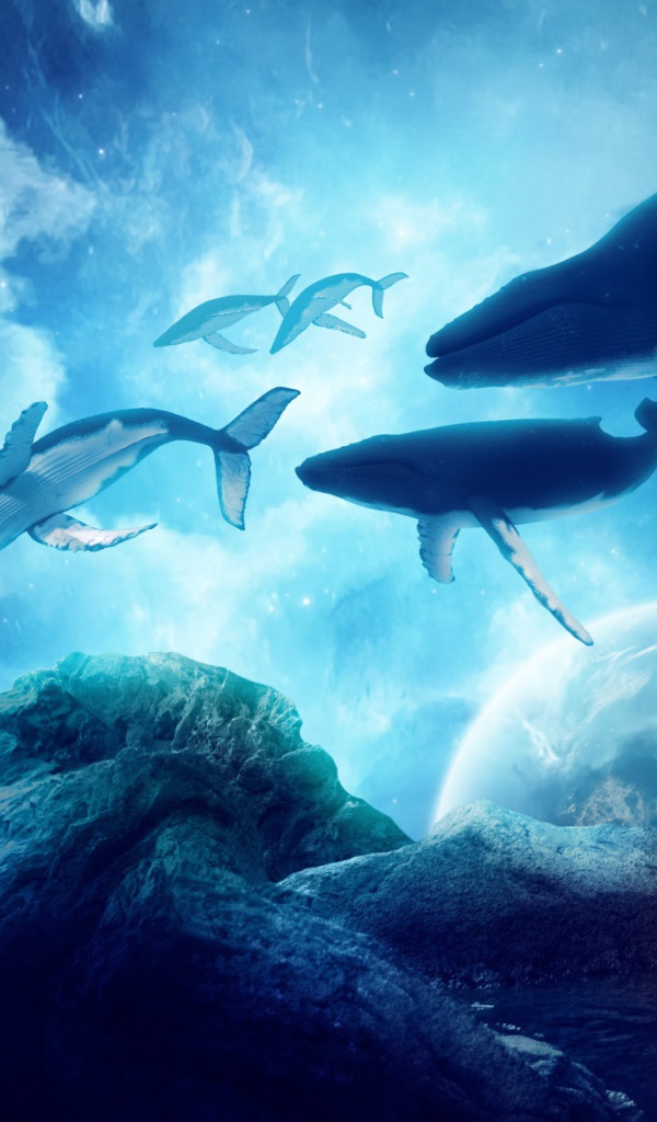 Мечты китов 