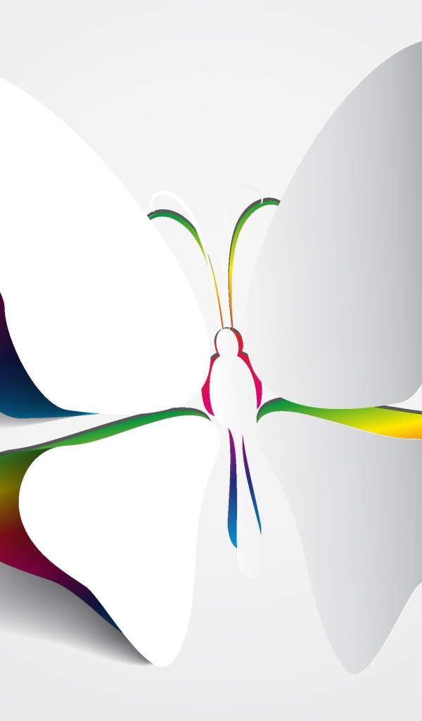 Крылья белой бабочки