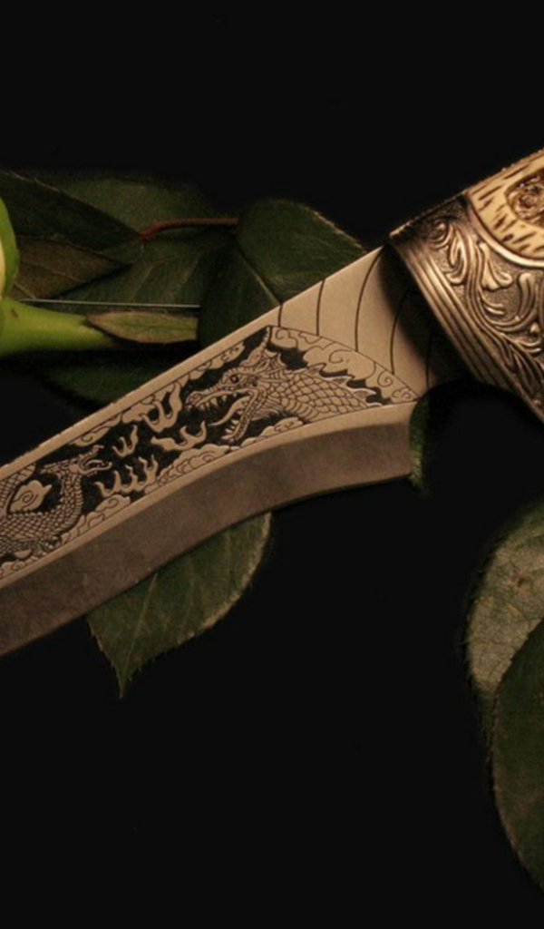 Белая роза и кинжал