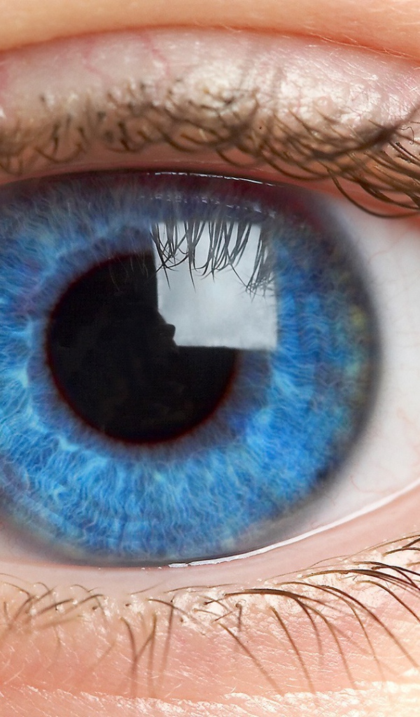 Синий открытый  глаз