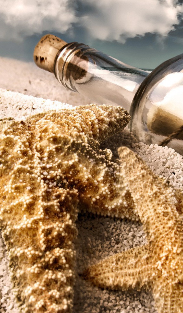 Морская звезда и бутылка с письмом