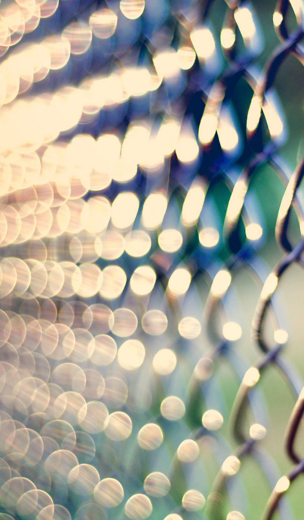 Забор из рабицы