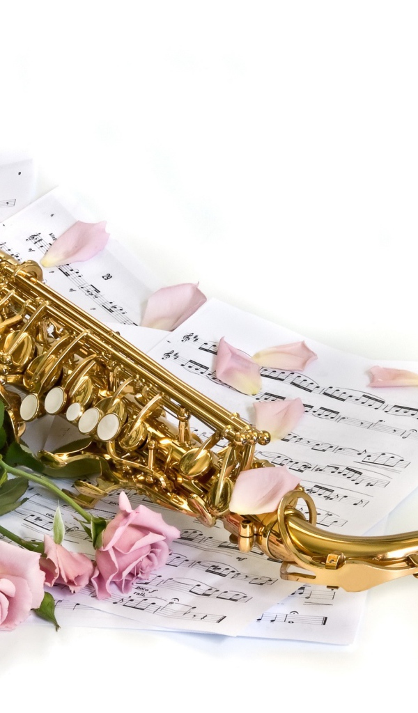 Музыка и цветы