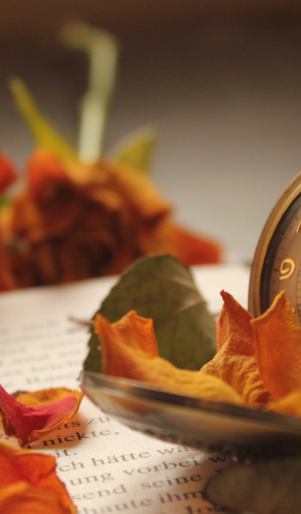 Карманные часы на книге