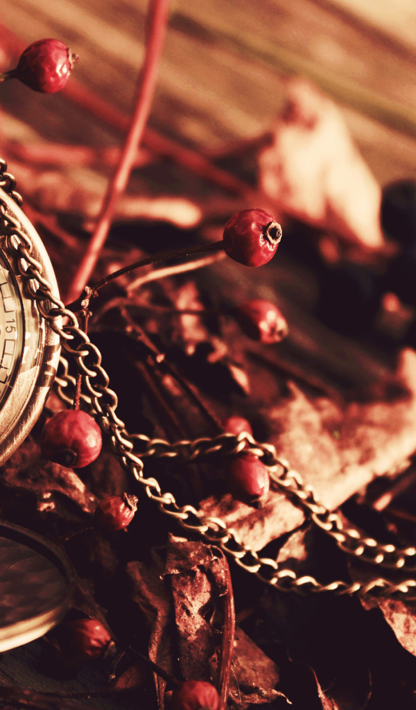 Карманные часы с цепочкой