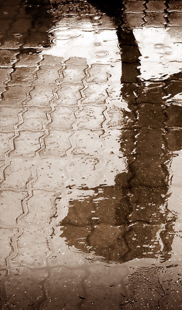 Отражение человека в луже