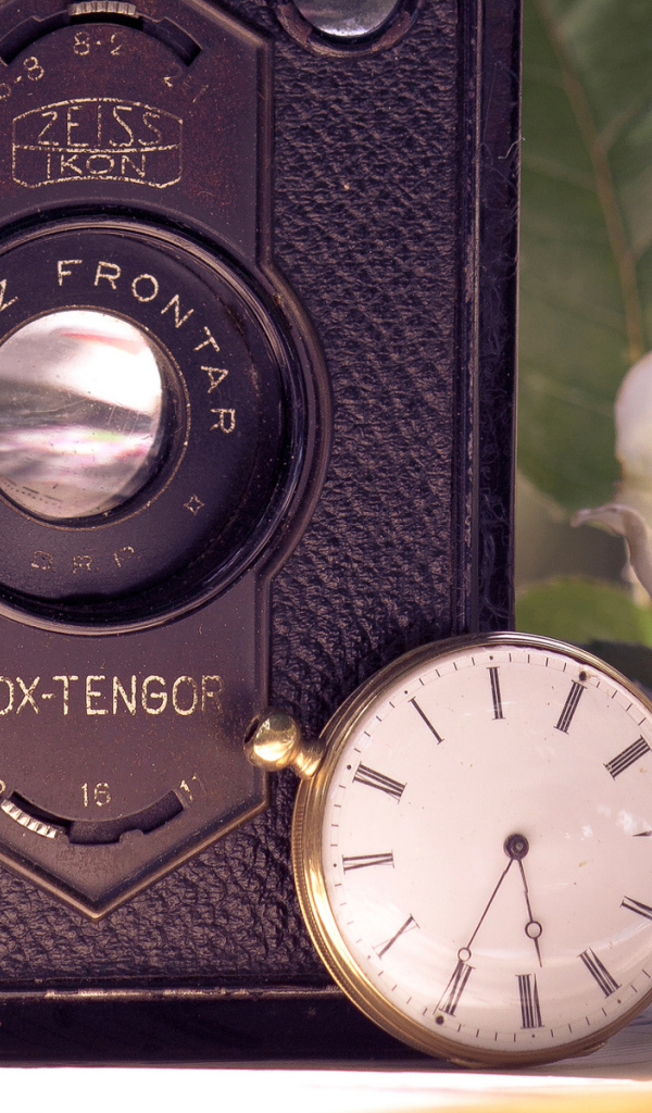 Ретро фотоаппарат и роза