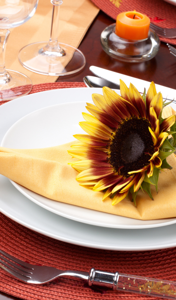 Цветок подсолнуха на тарелке