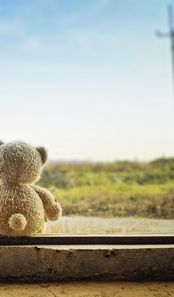 Мишка ждет свою хозяйку