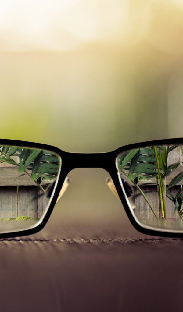 	   The visible world through glasses
