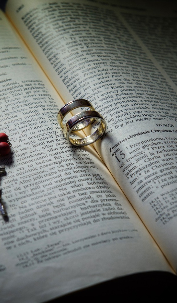 Два кольца на книге