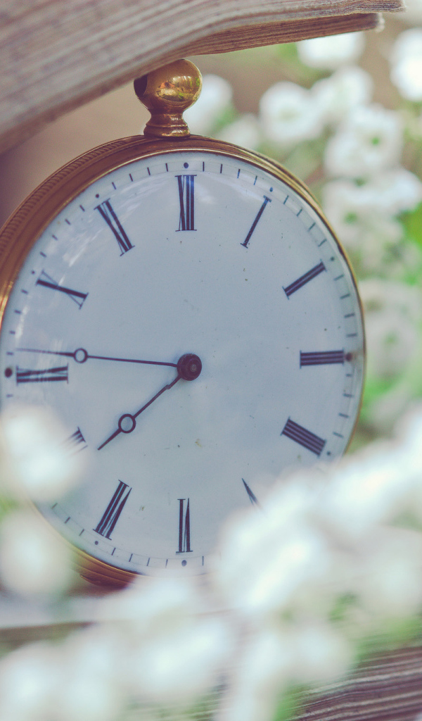 Белые карманные часы