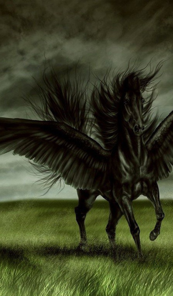 Черная лошадь с крыльями