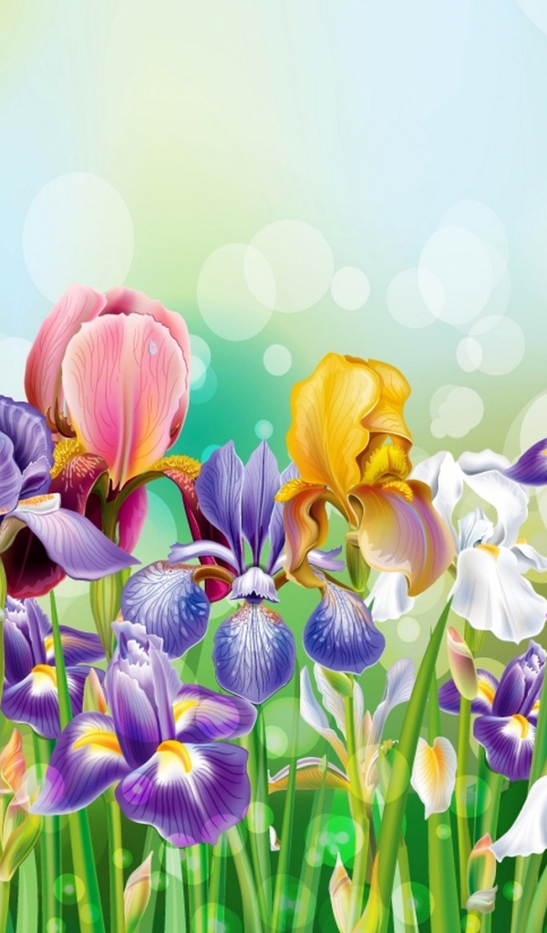 Букет полевых цветов