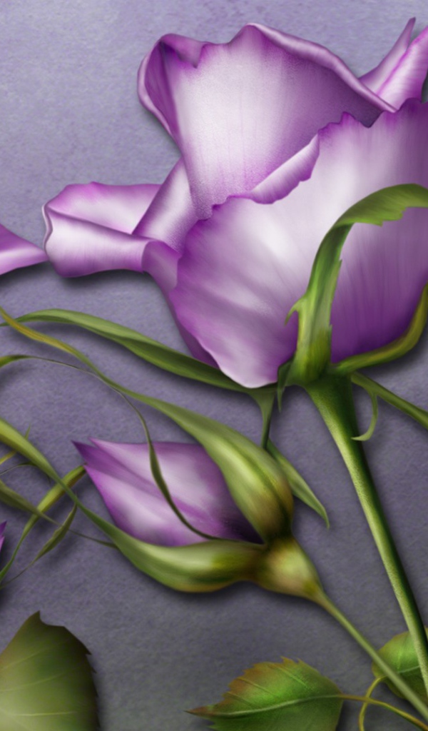 Фиолетовые розы и бабочка