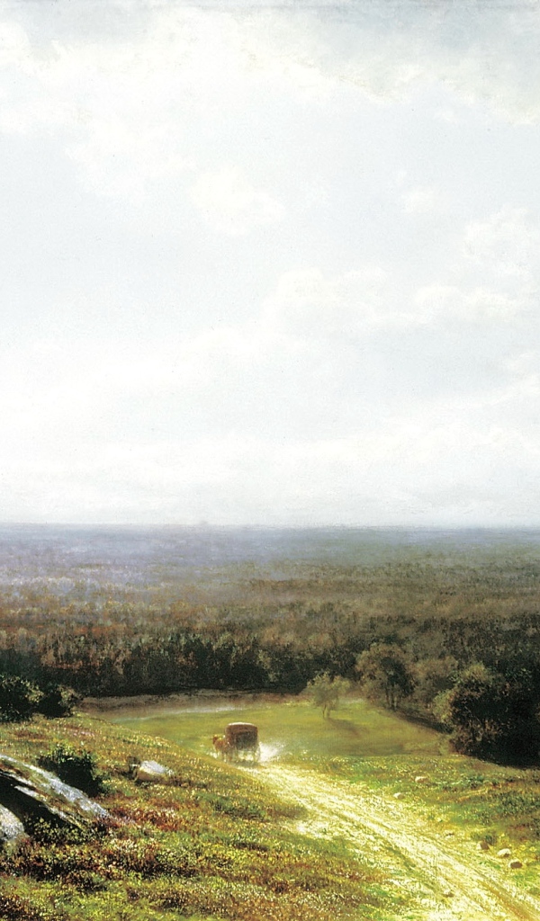 Одинокое дерево у дороги