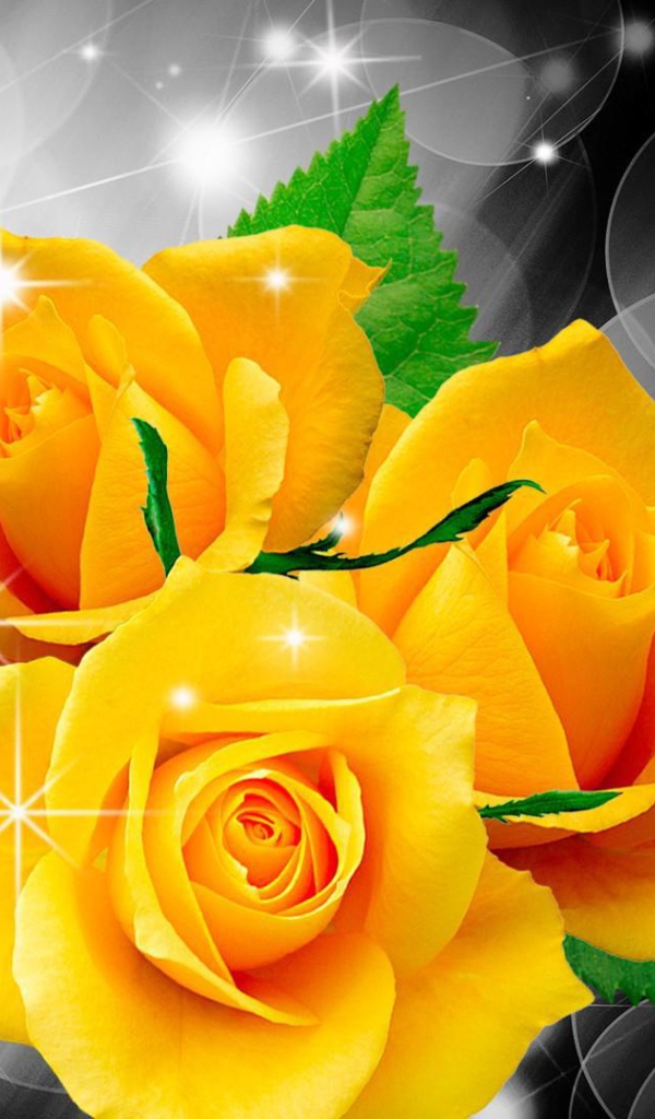 Жёлтые розы и бабочка