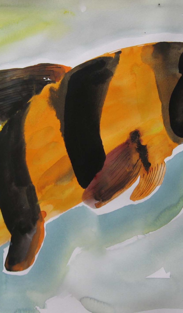 Картинка Марлен Дюма - Красочная рыба