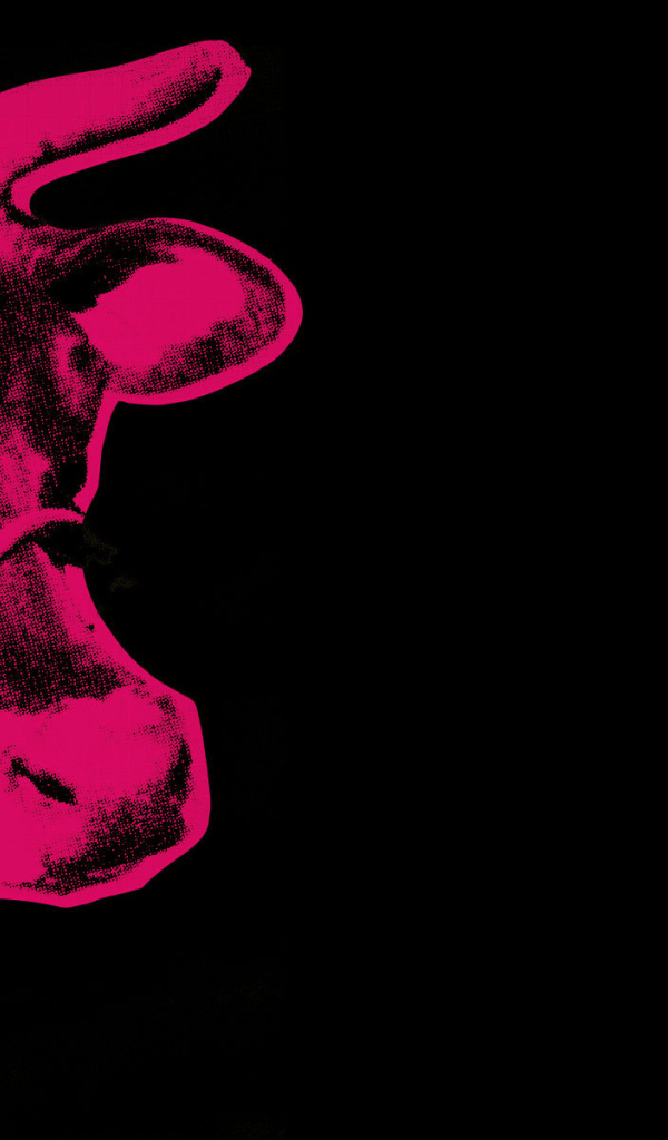 Картина Энди Уорхола красной коровы на черном фоне