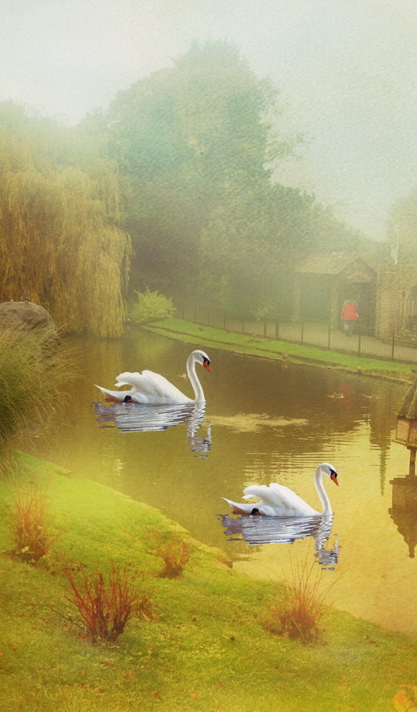 Пруд с лебедями