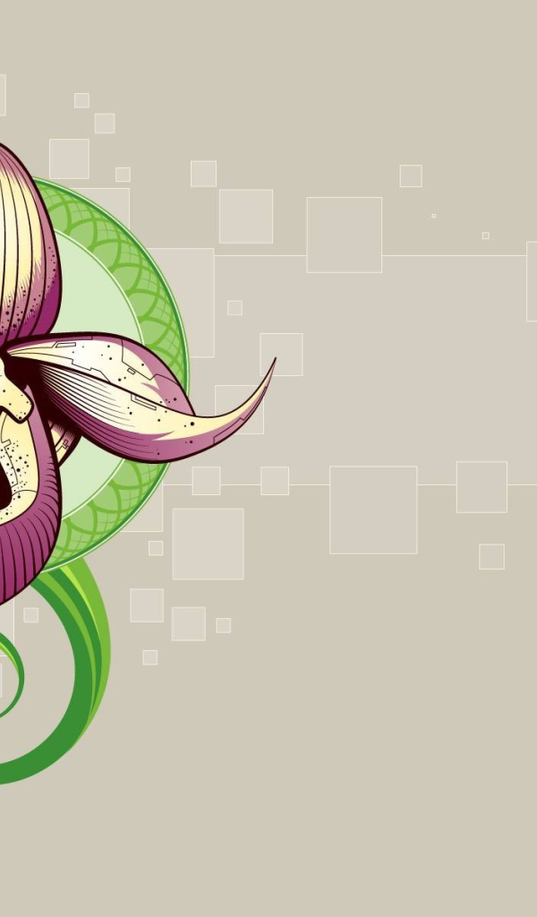 Рисунок орхидеи