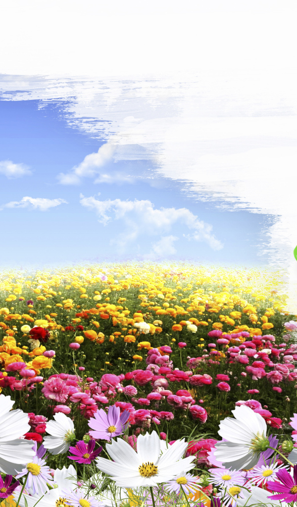 Поле цветов и кисти