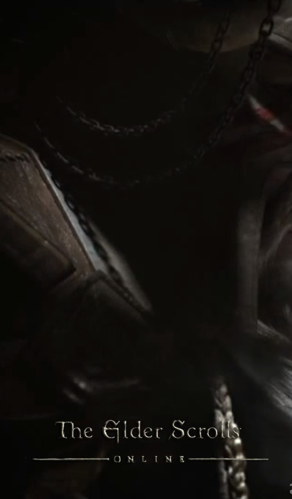 Закаленный в боях викинг