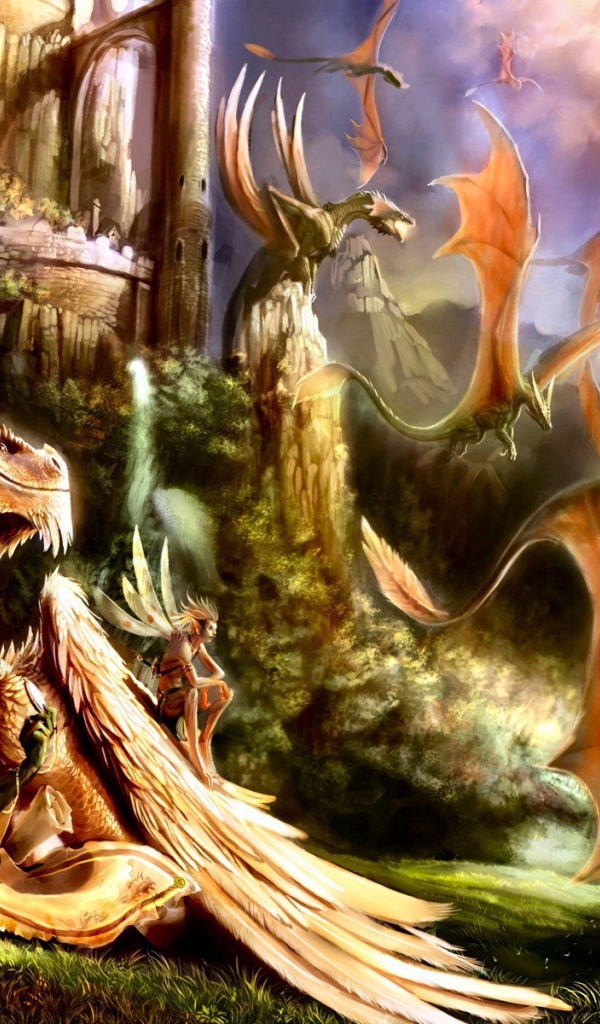 Драконы и эльфы