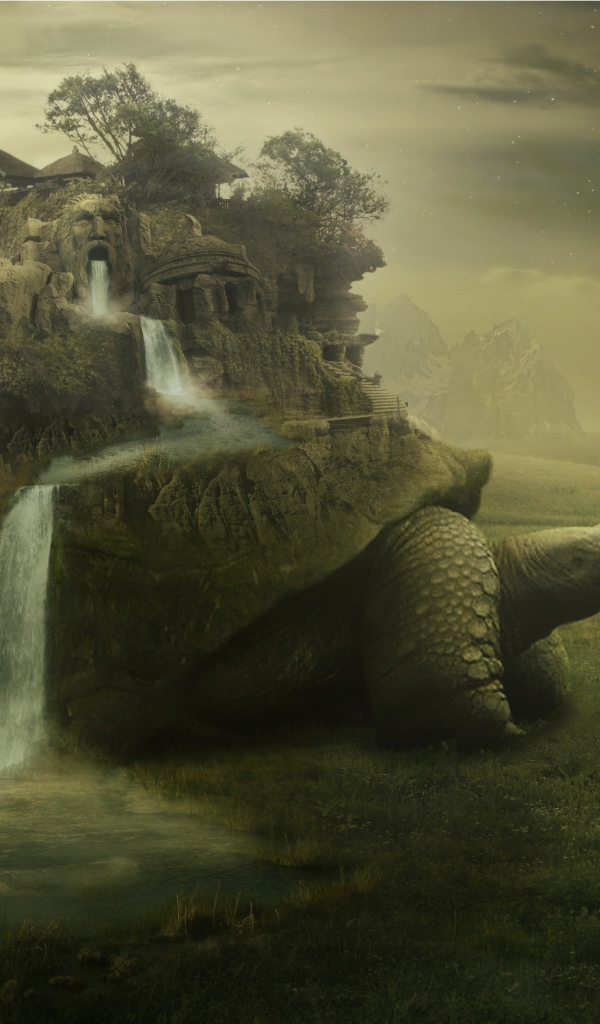 Дом на черепахе