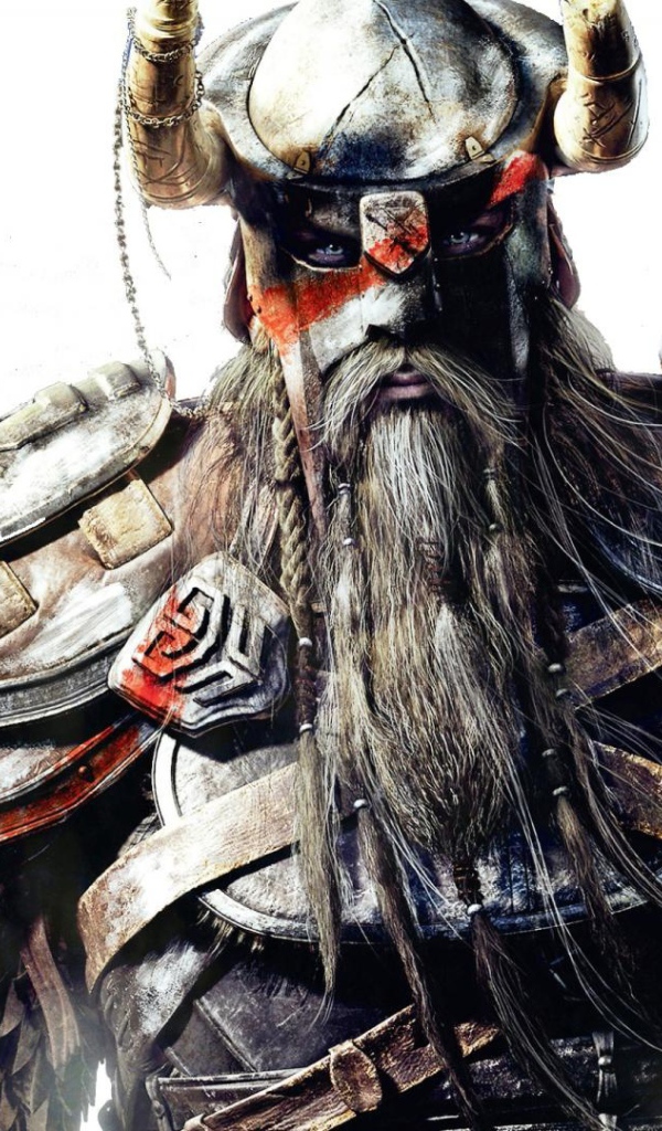 Лицо викинга