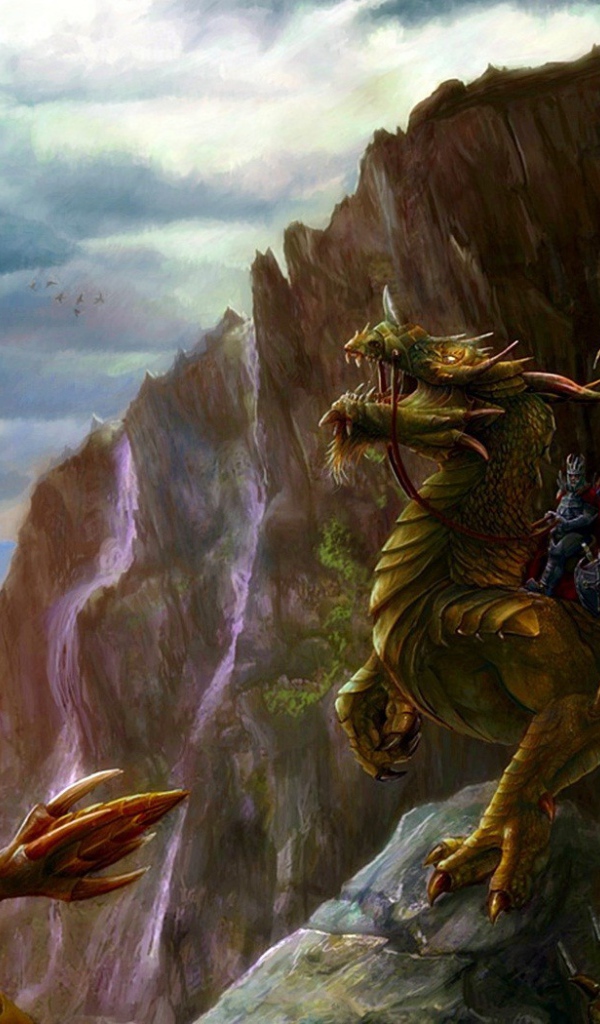 Воин сидит на драконе