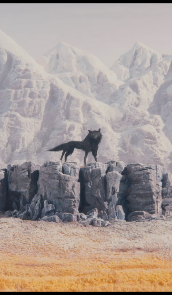 Оборотень мистер Фокс