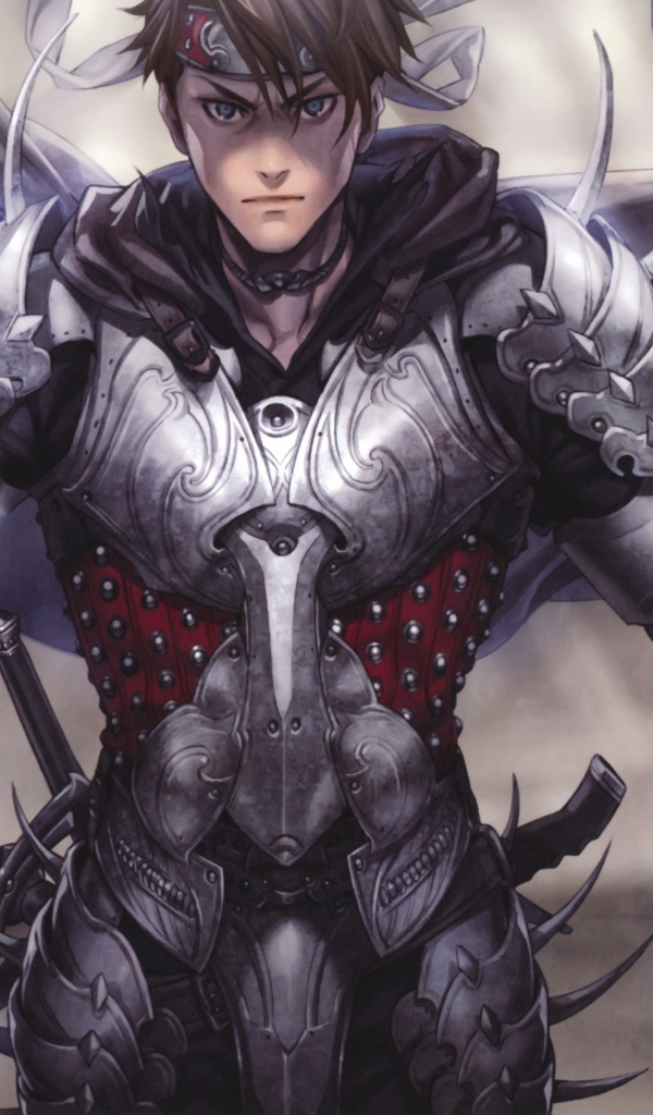 Воин в доспехах и с оружием