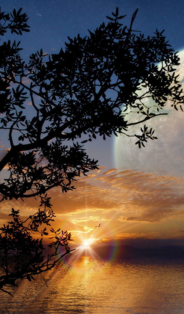 Фантастический закат с луной