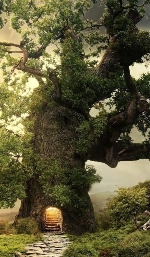 Дорога ведущая в дерево