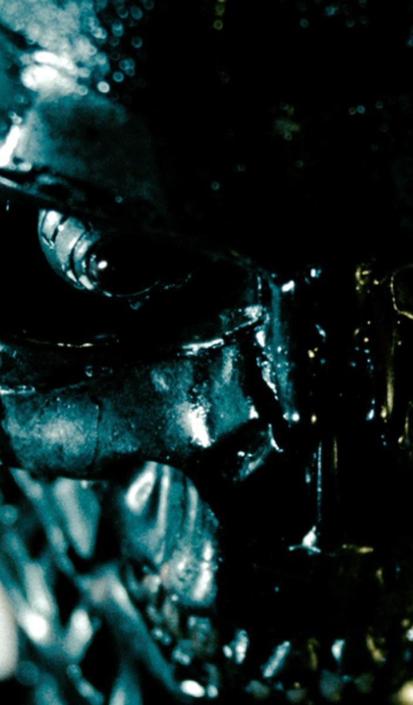 Обгоревший терминатор