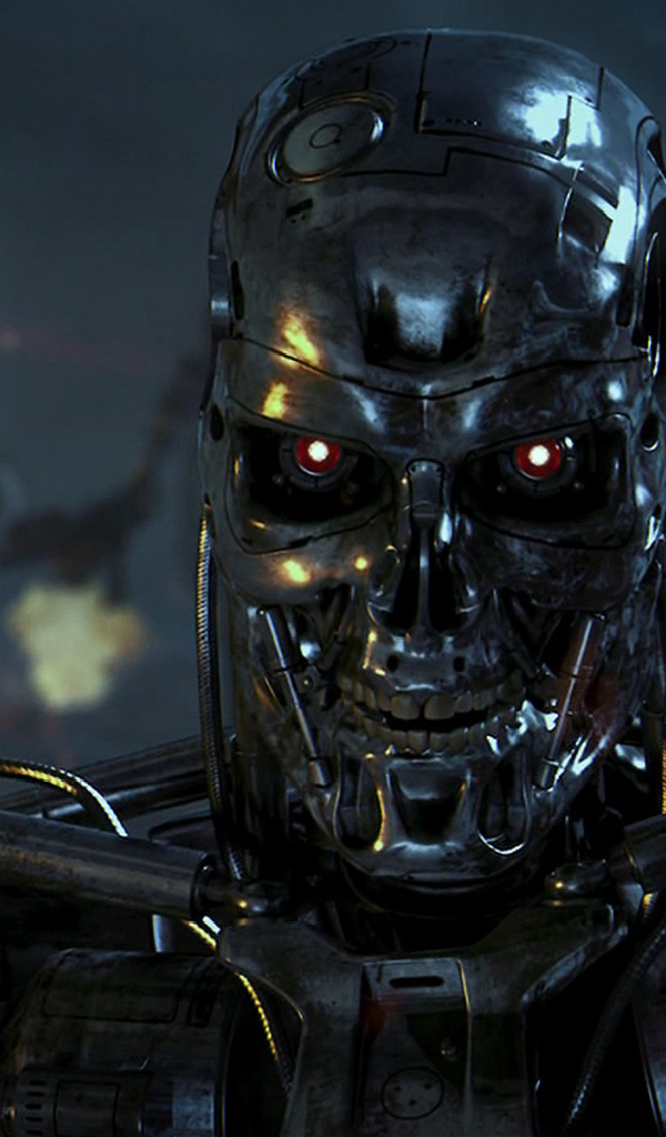 Взгляд терминатора