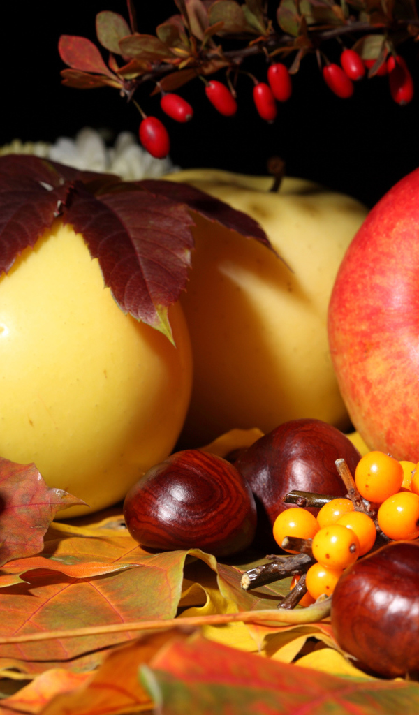 Яблоки и облепиха