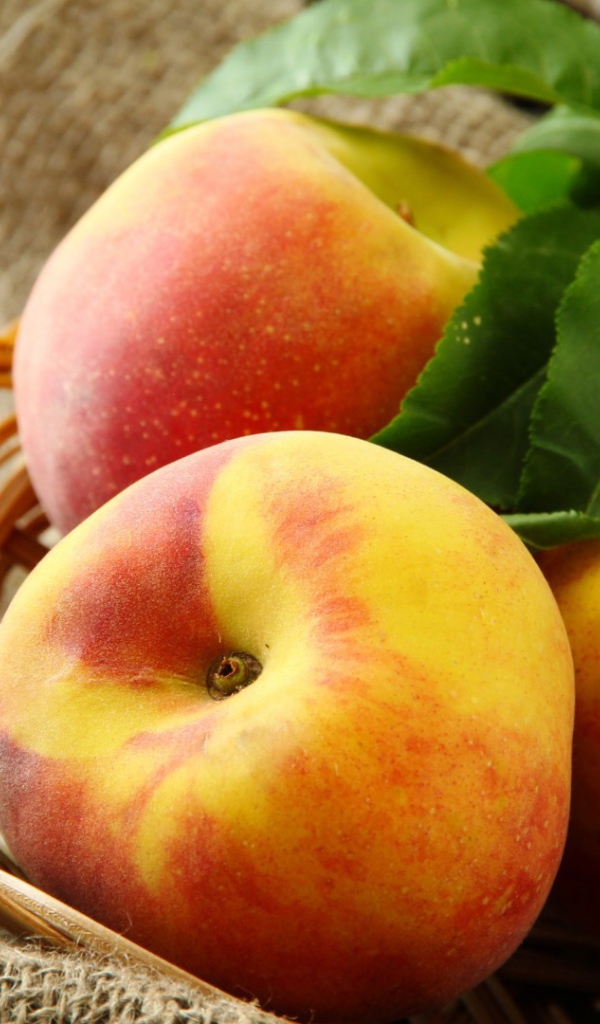 Корзина с персиками
