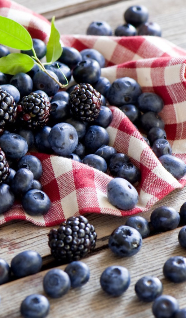 Черника и ежевика