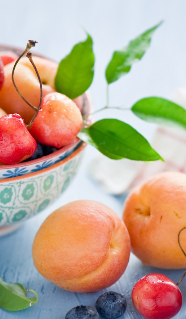 Садовые плоды