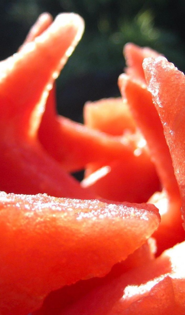 Арбуз порезан звездочками