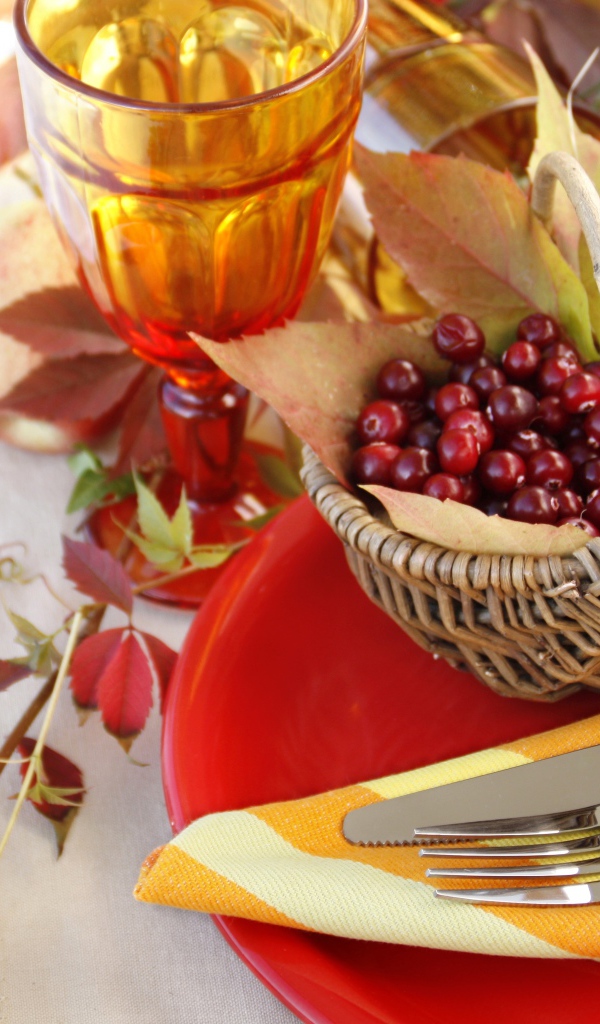 Ягоды рябины в корзине