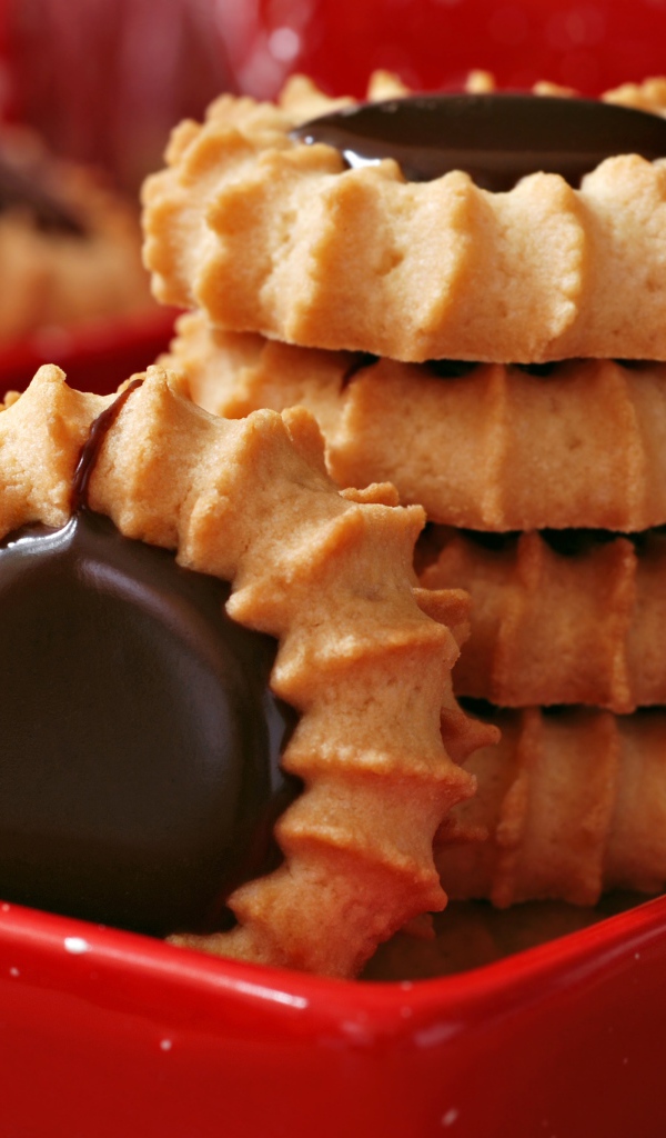 Печенье с шоколадом