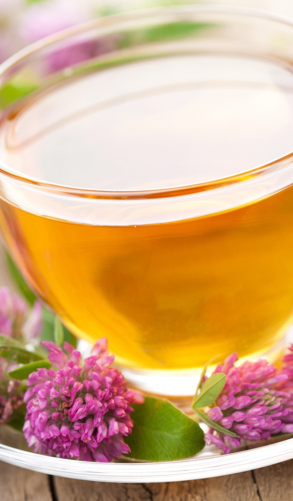 Напиток из клевера