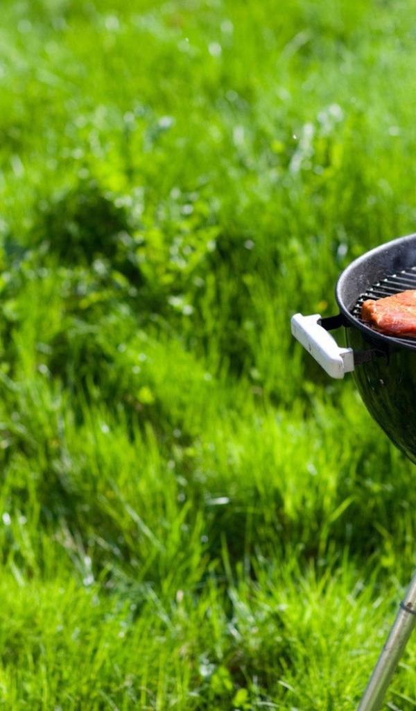 Барбекю гриль на природе