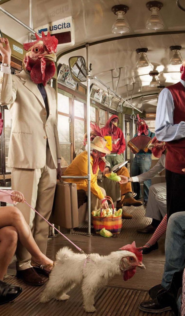 Поездка в курятнике