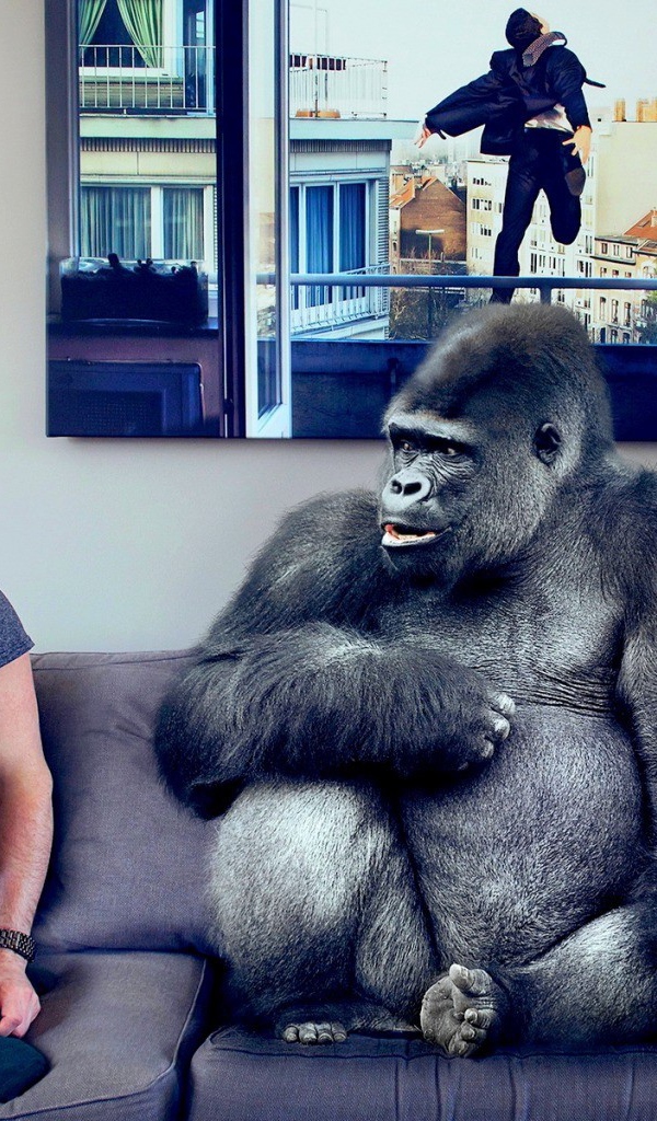 Давид Олкарни с бананом