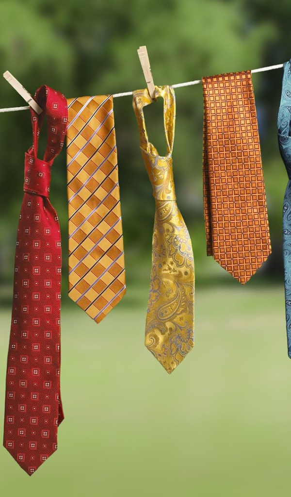 Мужские галстуки на веревке